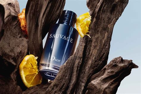 sauvage dior 2022|Dior Sauvage top notes.